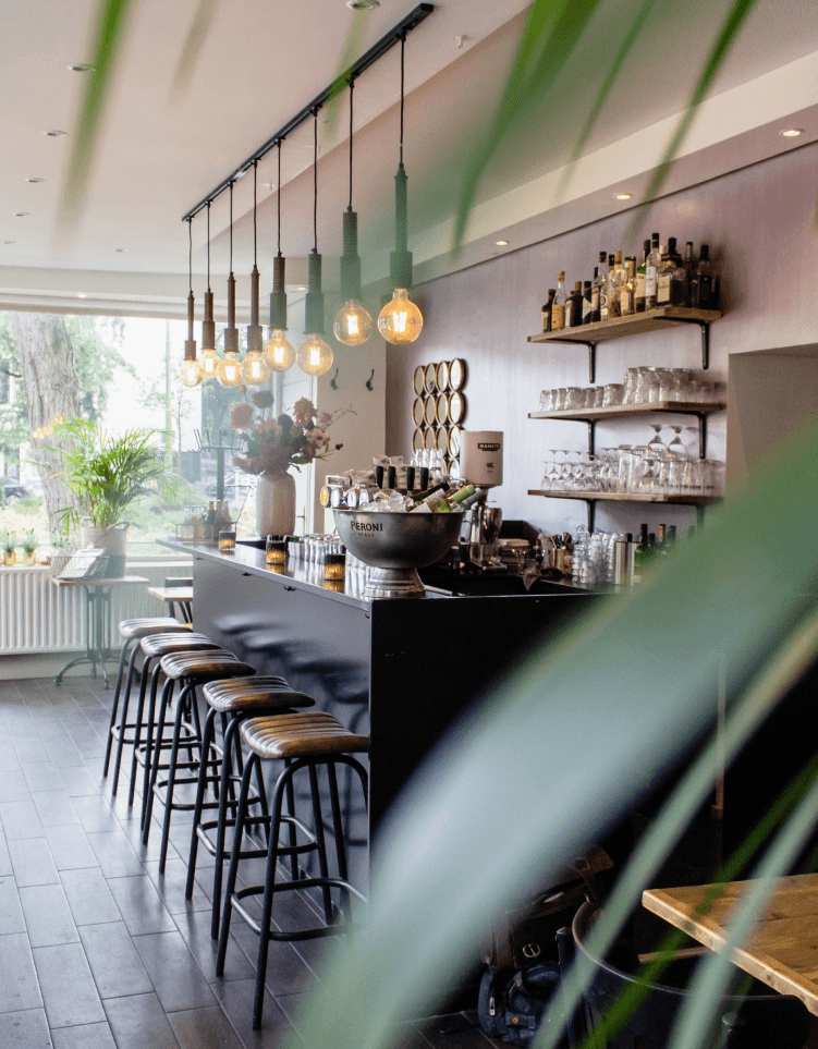 Contact Form Background